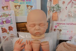 Angelo-Scherer-beBorn-20inch-1-4-limb-csdp-003