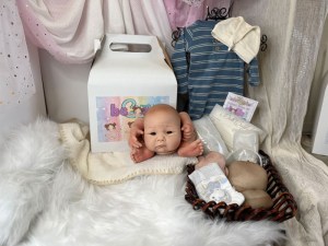 Li-Hua-14-limbs-beborn-001