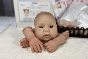 NEW-Amalia-22”-14-limbs-cropped-003