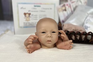 NEW-Lelou-Awake-19”-14-limbs-cropped-002