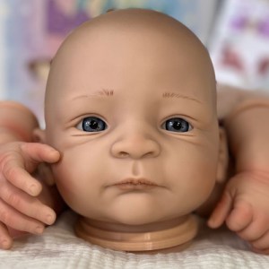 Nils Awake ~ beBorn DIY Kit - 1/4 Limb