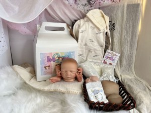 Noe-14-limbs-beborn-001