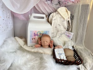 Noe-14-limbs-beborn-005