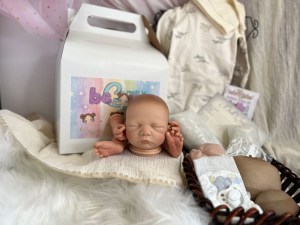 Noe-14-limbs-beborn-006